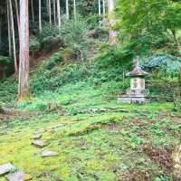 【京都】お釈迦様の仏足石