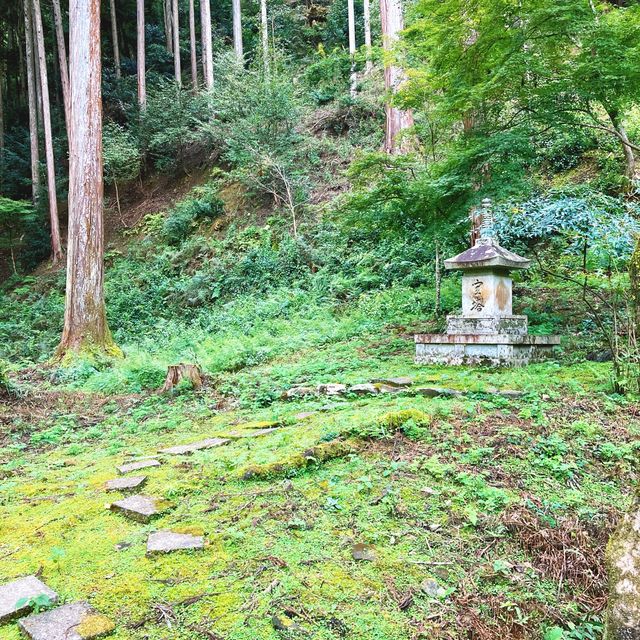 【京都】お釈迦様の仏足石