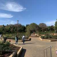 紅葉を見ることができる巨大な公園です