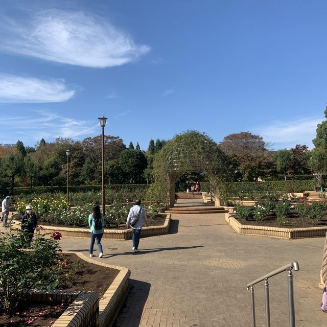 紅葉を見ることができる巨大な公園です