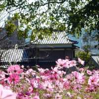 【福岡】太宰府天満宮近くの観世音寺