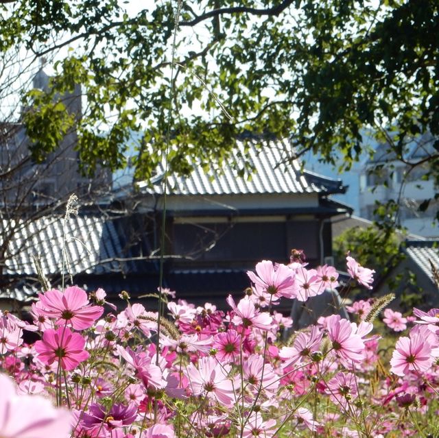 【福岡】太宰府天満宮近くの観世音寺