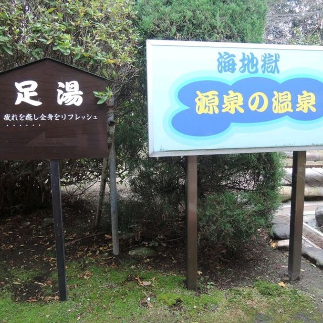 Colourful Hot Springs in Beppu 