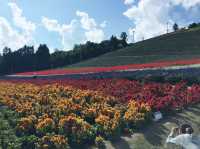 Nakafurano Flower Park