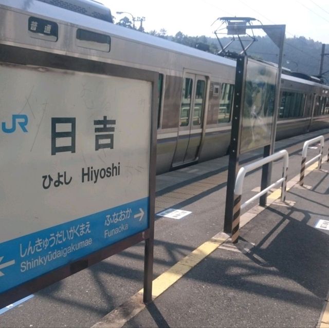 日本三大傳統茅葺屋部落之一 京都美山町！