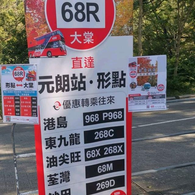 第1站: 大棠楓香林(紅葉篇) 第1站: 大棠楓香林(紅葉篇)