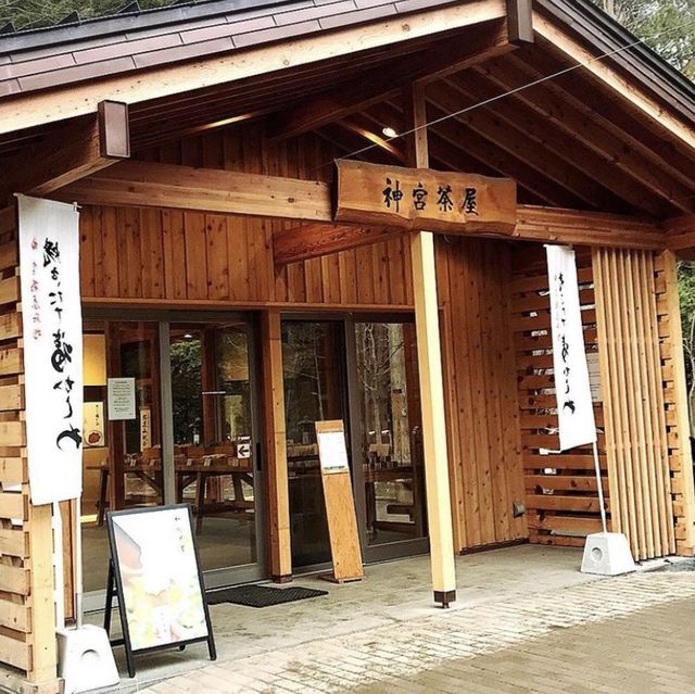 北海道神宮❤️冬日浪漫🌹神社⛩️