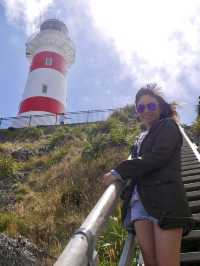 Southernmost Point of North Island, NZ
