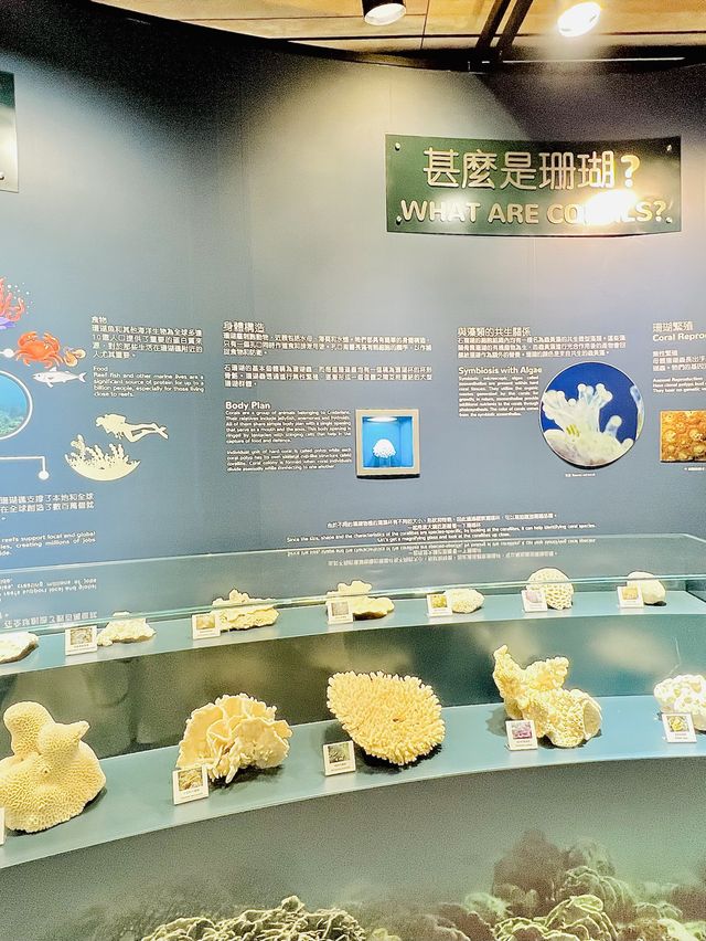 ❤️尤如置身日本 認識海下灣