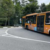 Free transportation at Siloso Beach 