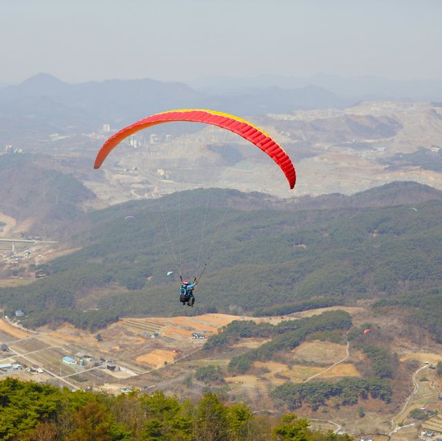 단양 패러글라이딩 9살 초등학생의 도전