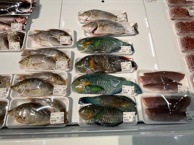沖縄県　うるま市の『うるマルシェ』で休憩