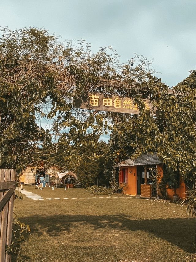 Nada Natural Farming