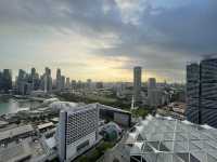 City skylines from Pan Pacific lounge