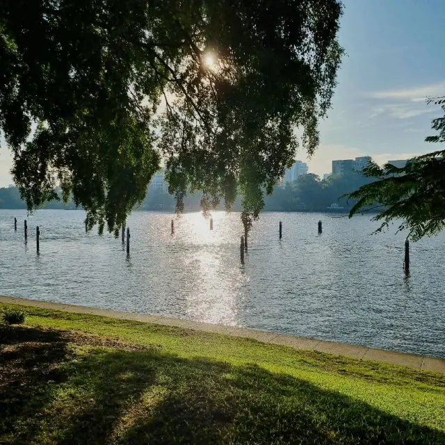 Beautiful City Botanic Gardens Brisbane