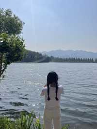 [과천] 과천에 꽁꽁 숨겨둔 아름다운 피크닉 존/풍성한 장미 꽃동산🌹