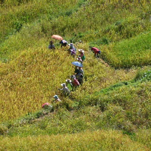 Batad - tranquil village with 360° view