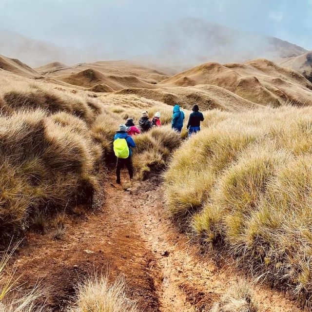 Hike at Mount Pulag National Park