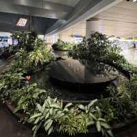 ✈️ Changi Airport mini garden