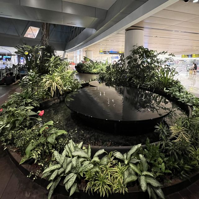 ✈️ Changi Airport mini garden