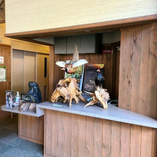 意外と穴場で貸し切り状態⁉️