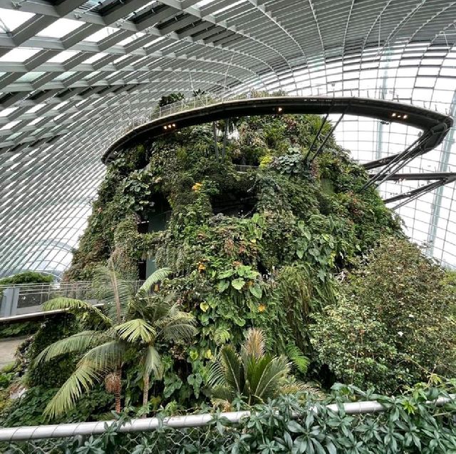 The World Tallest Indoor Waterfall