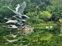 Nature Tranquil 