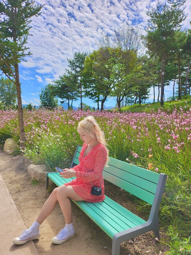 가평 자라섬 꽃구경하기 좋아요🌺💐🌸