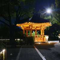 Deokjin Park Night View in Jeonju