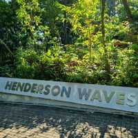 Henderson waves trail