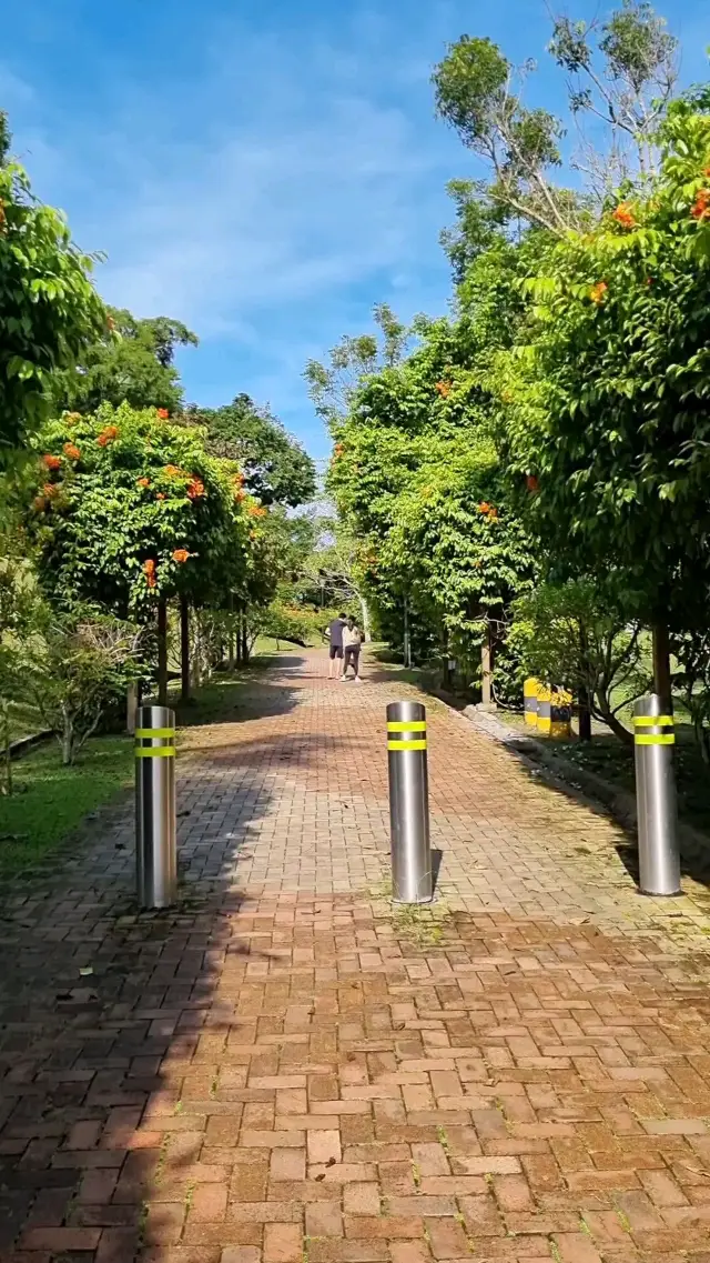 The Macritchie Nature Trial