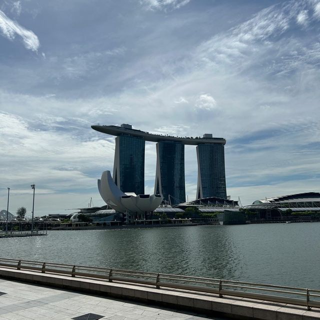 MBS landmarks