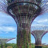 Best travel place, “Garden by the bay”