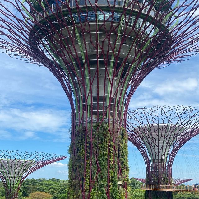 Best travel place, “Garden by the bay”