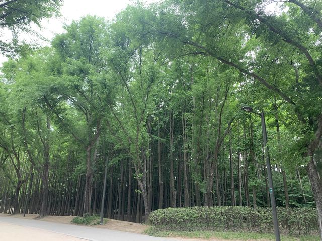 성수동, 봄의 서울숲!!