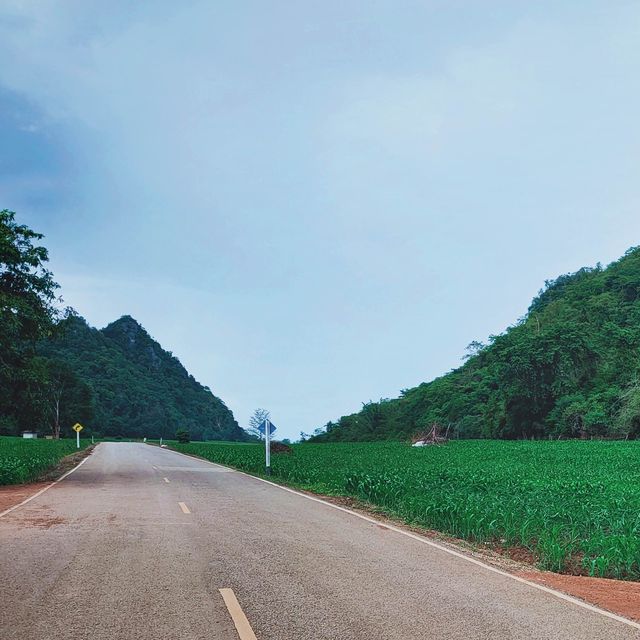 จุดชมวิว 📸 บ้านชายเขา สวิตเซอร์แลนด์เมืองไทย