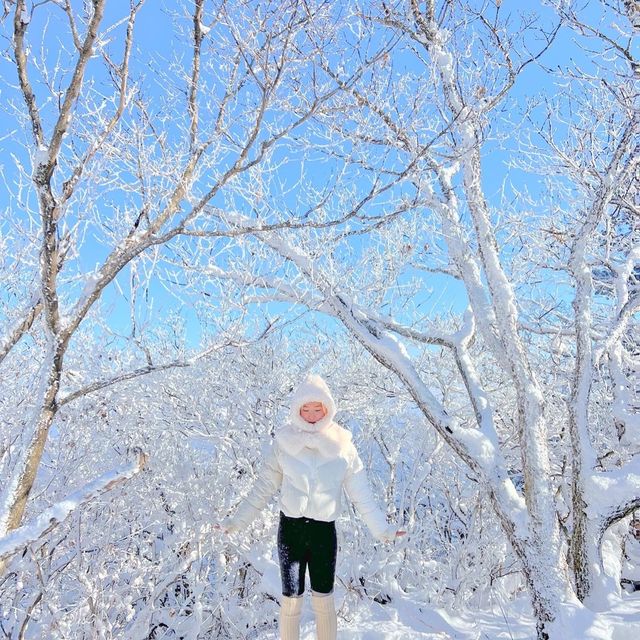 곤도라타고 쉽게 만나볼 수 있는 겨울왕국❄️