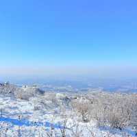 곤도라타고 쉽게 만나볼 수 있는 겨울왕국❄️