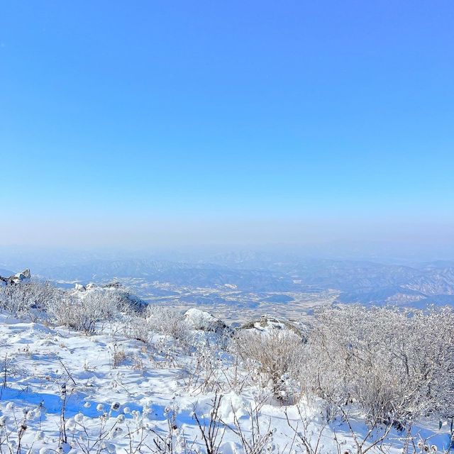 곤도라타고 쉽게 만나볼 수 있는 겨울왕국❄️