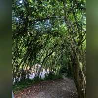 化腐朽為神奇～Eden Project @Cornwall