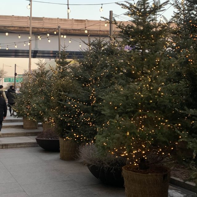 압구정 현대백화점에 찾아온 크리스마스 🎄