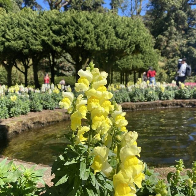 Doi Inthanon National Park