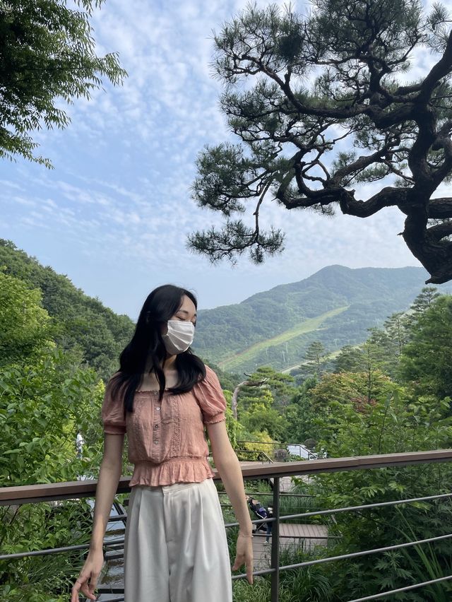 가을 여행지 추천 :: 화담숲🌳