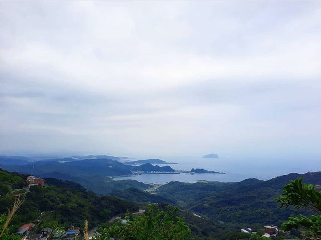 【新北】全台最好吃的芋圓！阿柑姨芋圓