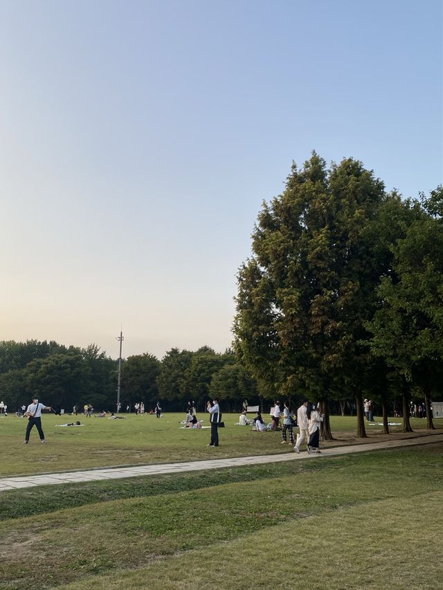 건물과 숲의 조화 🌳 서울숲 