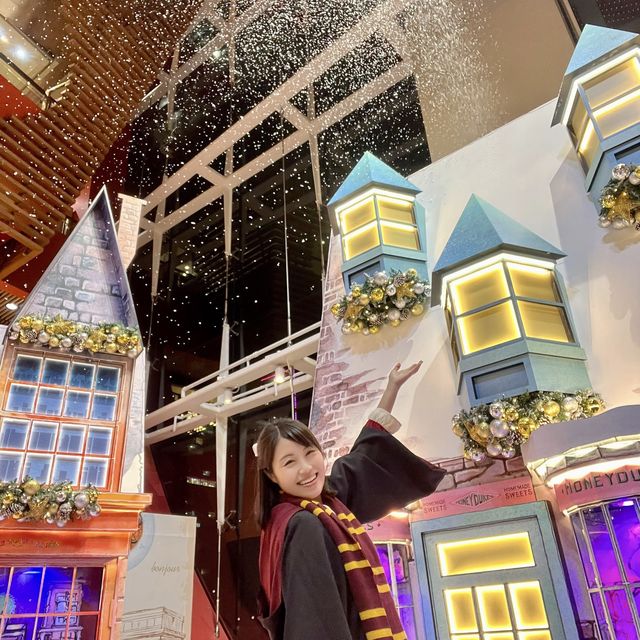 🎄Harry Potter的聖誕魔法世界✨