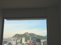 시청역 핫플 뷰가 예쁜 카페