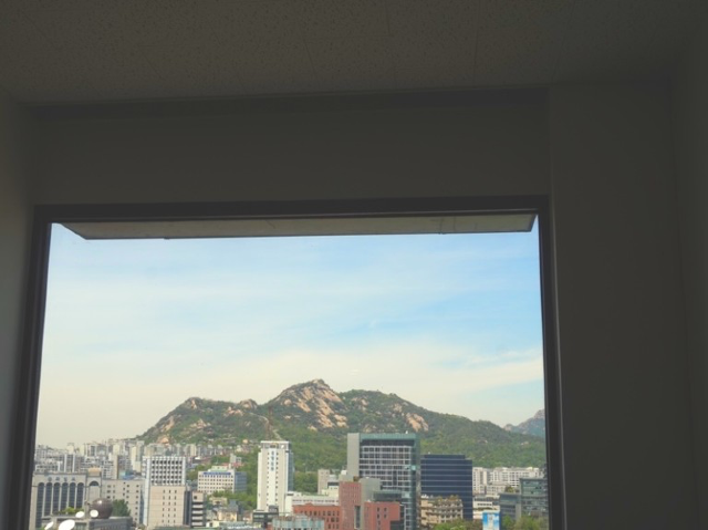 시청역 핫플 뷰가 예쁜 카페