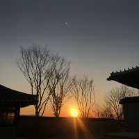 내 인생드라마, 미스터션샤인 촬영지 선샤인랜드 🌞 