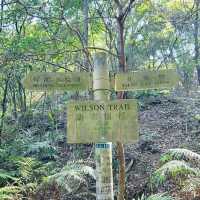 衛奕信徑第四段